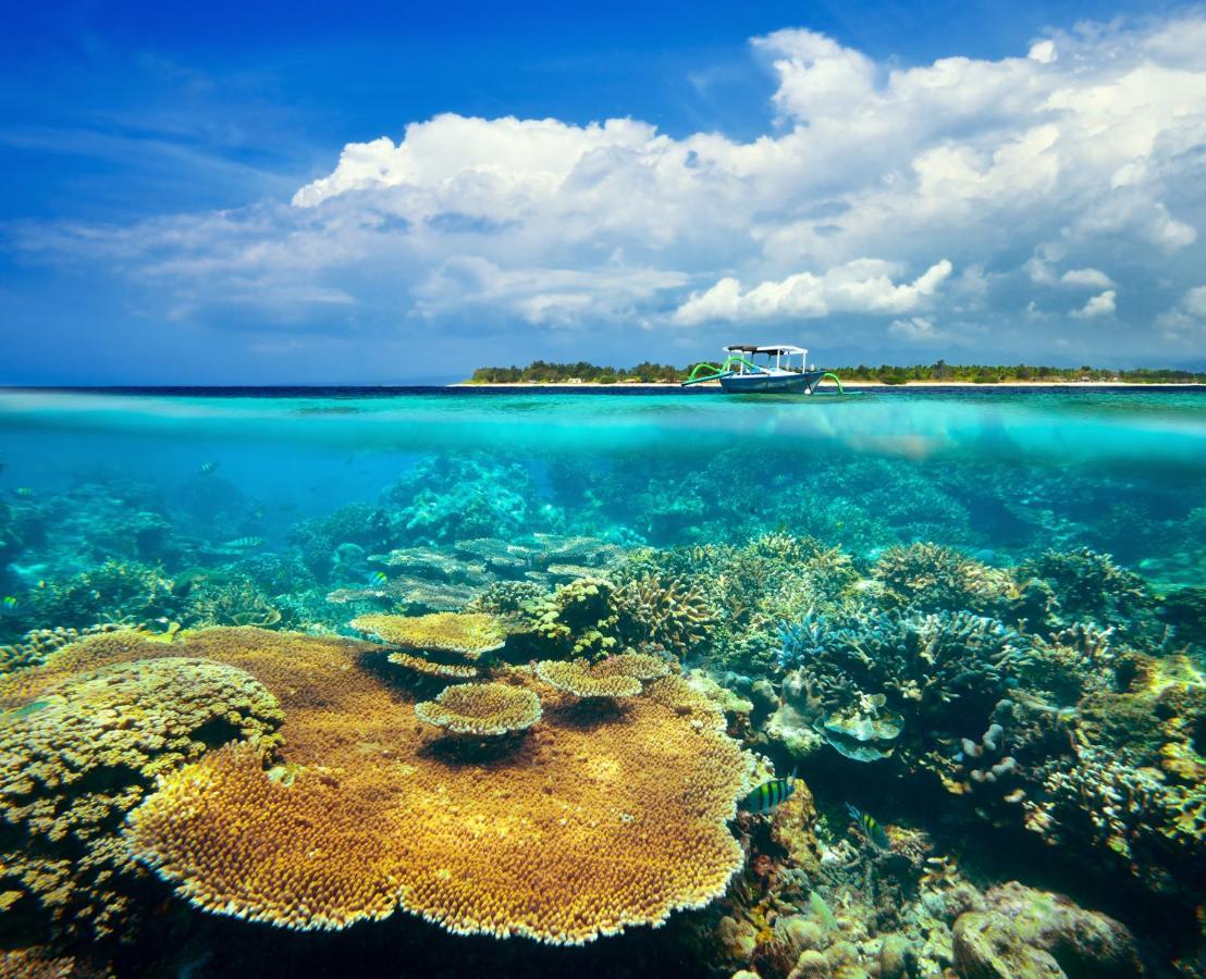 Divine Divers Ilhas Gili Exterior foto