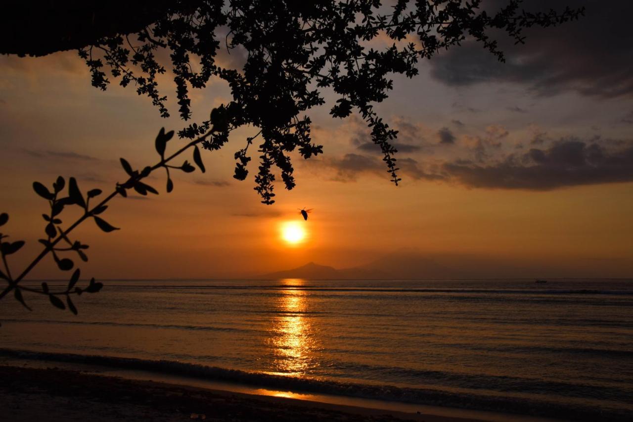 Divine Divers Ilhas Gili Exterior foto
